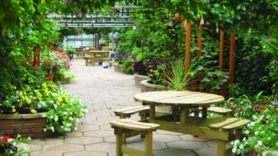 Image for news article: Plant World will reopen on Saturday (May 16th)