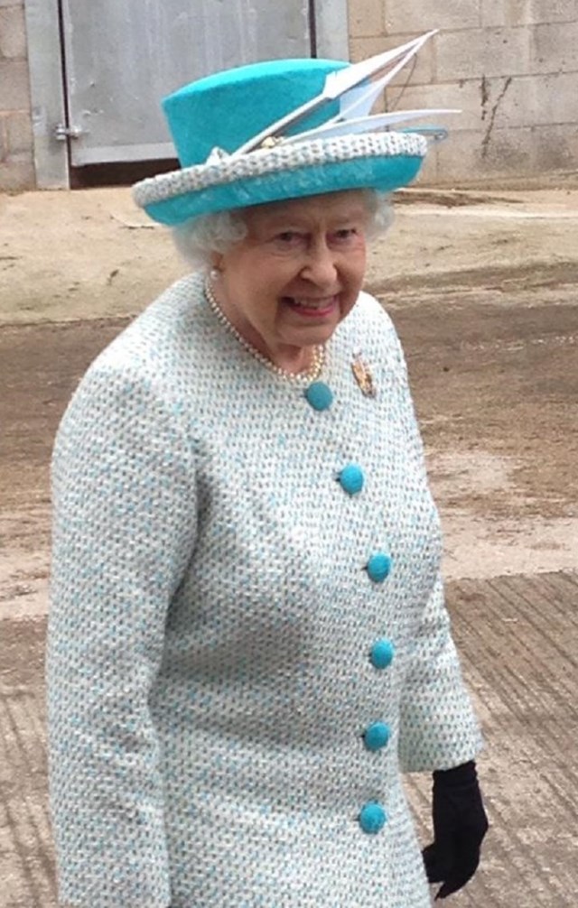 QUEEN 2015 8.jpeg