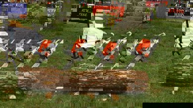 Image for news article: Myerscough launches Level 4 apprenticeship in arboriculture