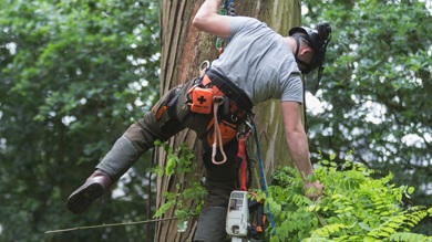 Image for news article: FEATURE: Forestry gives firm career foundations