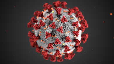 Image for news article: Coronavirus lockdown - letter to all students