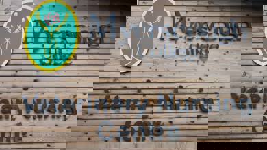 Image for news article: WATCH: Veterinary Nursing - excellence in practice, superb career prospects