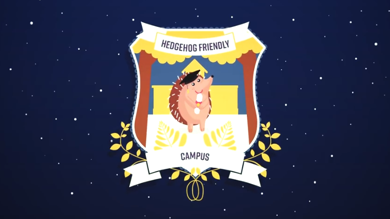 Image for news article: Myerscough achieves Bronze ‘Hedgehog Friendly Campus’ status