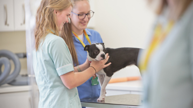Image for news article: FEATURE: Lancashire’s first Vet School on track for September intake